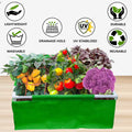 Carvix 36x36x12 Rectangle Grow Bag With Supporting Pvc Pipes Extra Thick Premium HDPE Green Grow Bags
