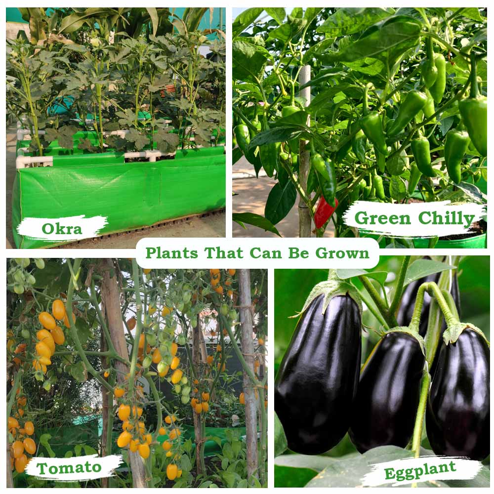 Carvix HDPE 60x12x12 Rectangle Grow Bag With Supporting Pvc Pipes Extra Thick Premium Quality Grow Bags