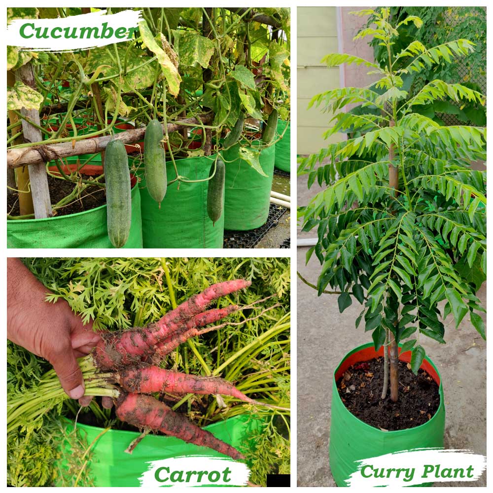 18x15 Grow Bag for Vegetable Garden, Premium HDPE 260 GSM, Green Plant Bags for Terrace Garden