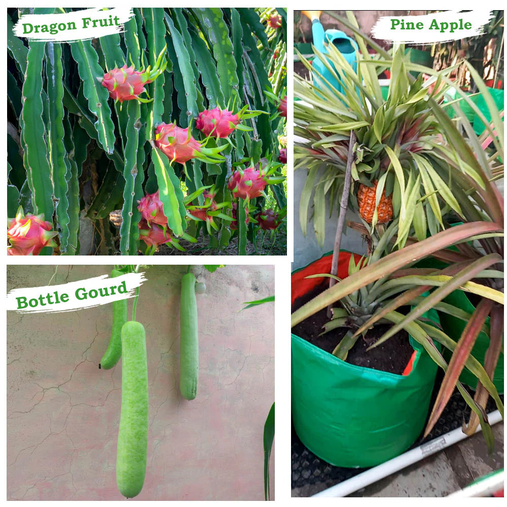 HDPE 24x15 Grow Bags for Home and Terrace Gardening Extra Thick Premium Quality Grow Bags