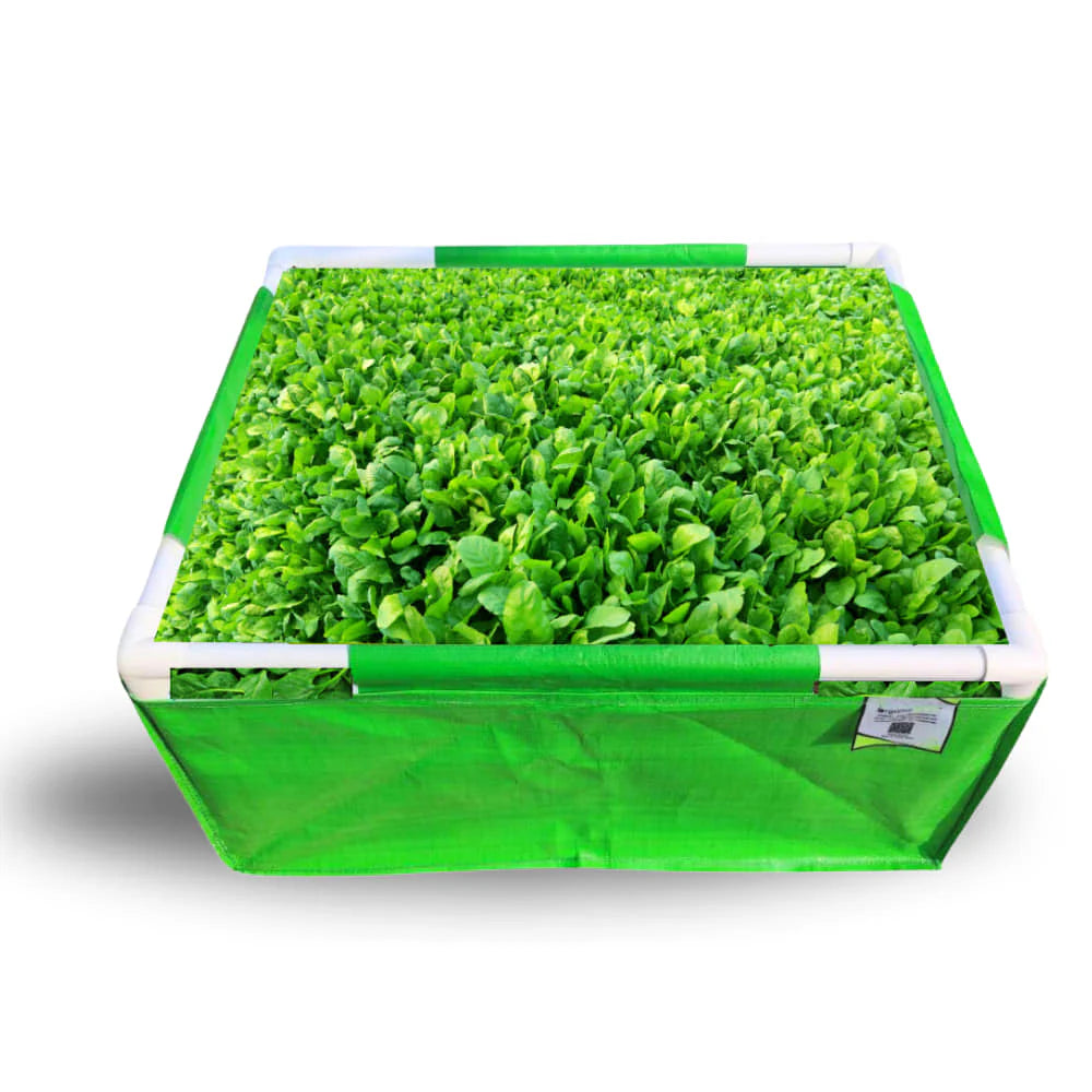 Carvix 24x18x12 Rectangular Grow Bags with PVC Support Pipes for Terrace Garden