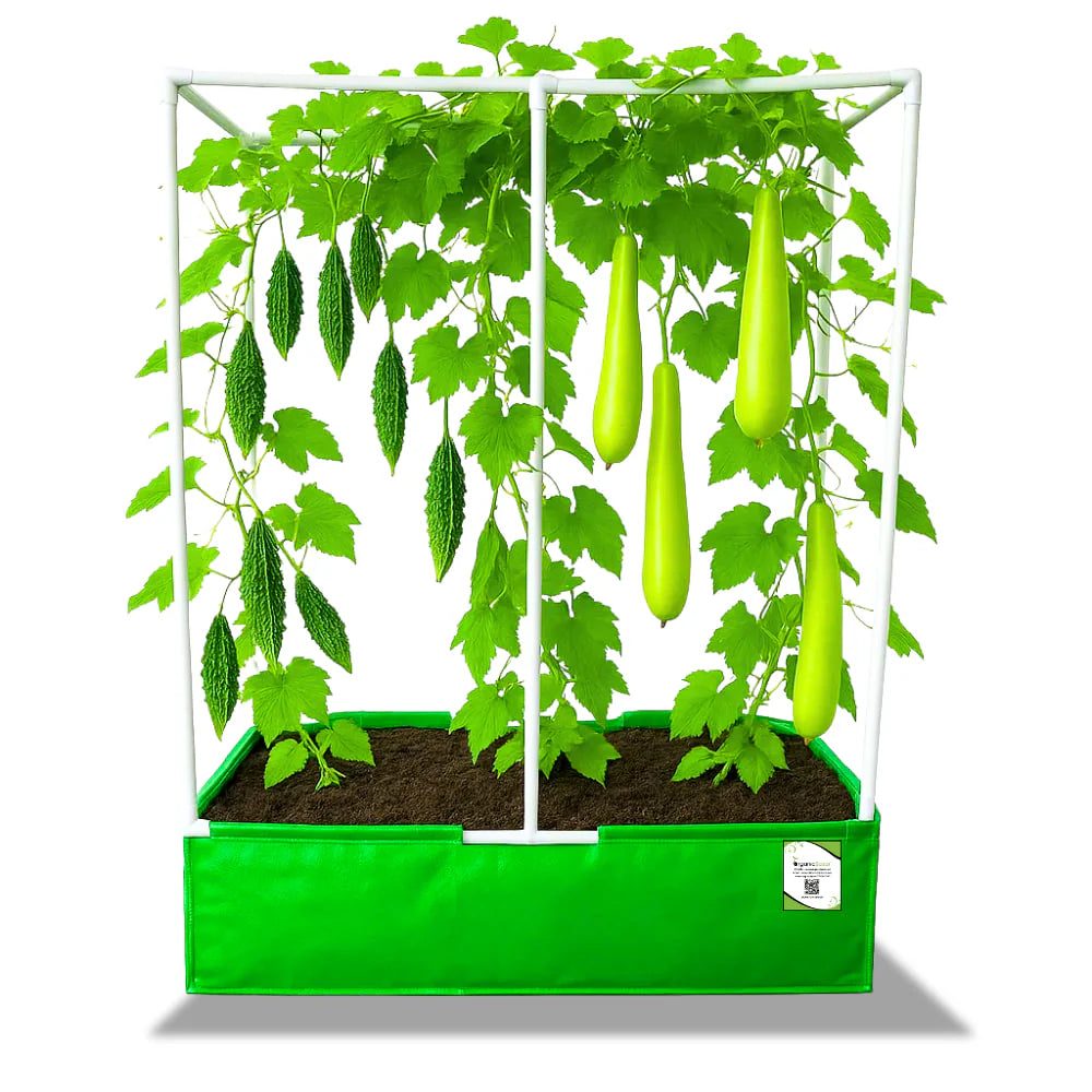 Carvix 48x24x12 Rectangular Grow Bag with Long Frame for Creeper Plants