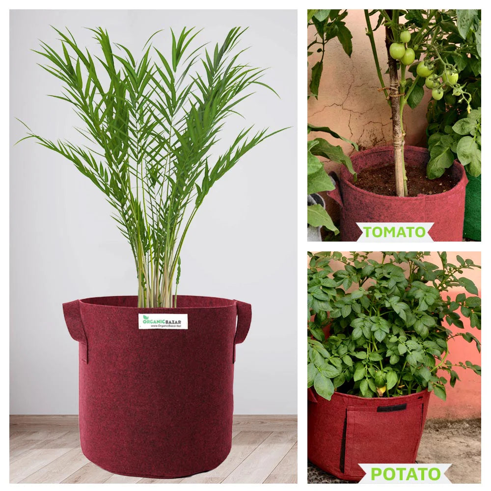 Carvix Premium 15x18 Geo Fabric Grow Bags For Terrace Gardening