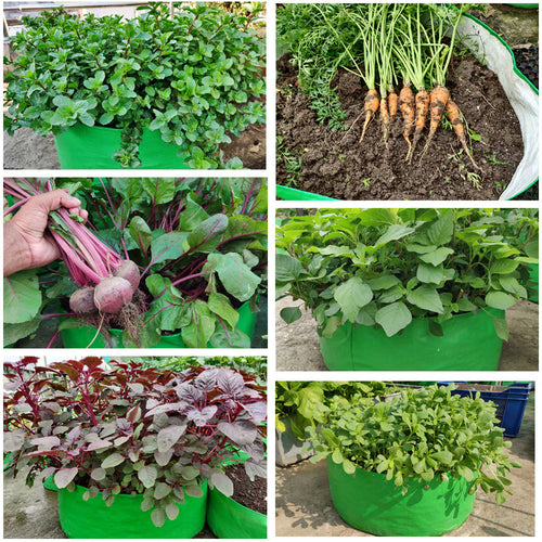 15x6 Grow Bag for Leafy Vegetables, Premium HDPE 260 GSM, Green Plant Bags