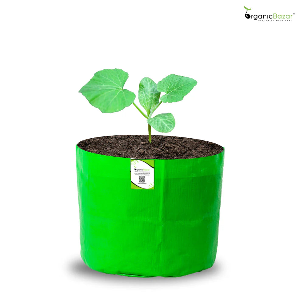 Carvix 5x5 Small Size Grow Bag
