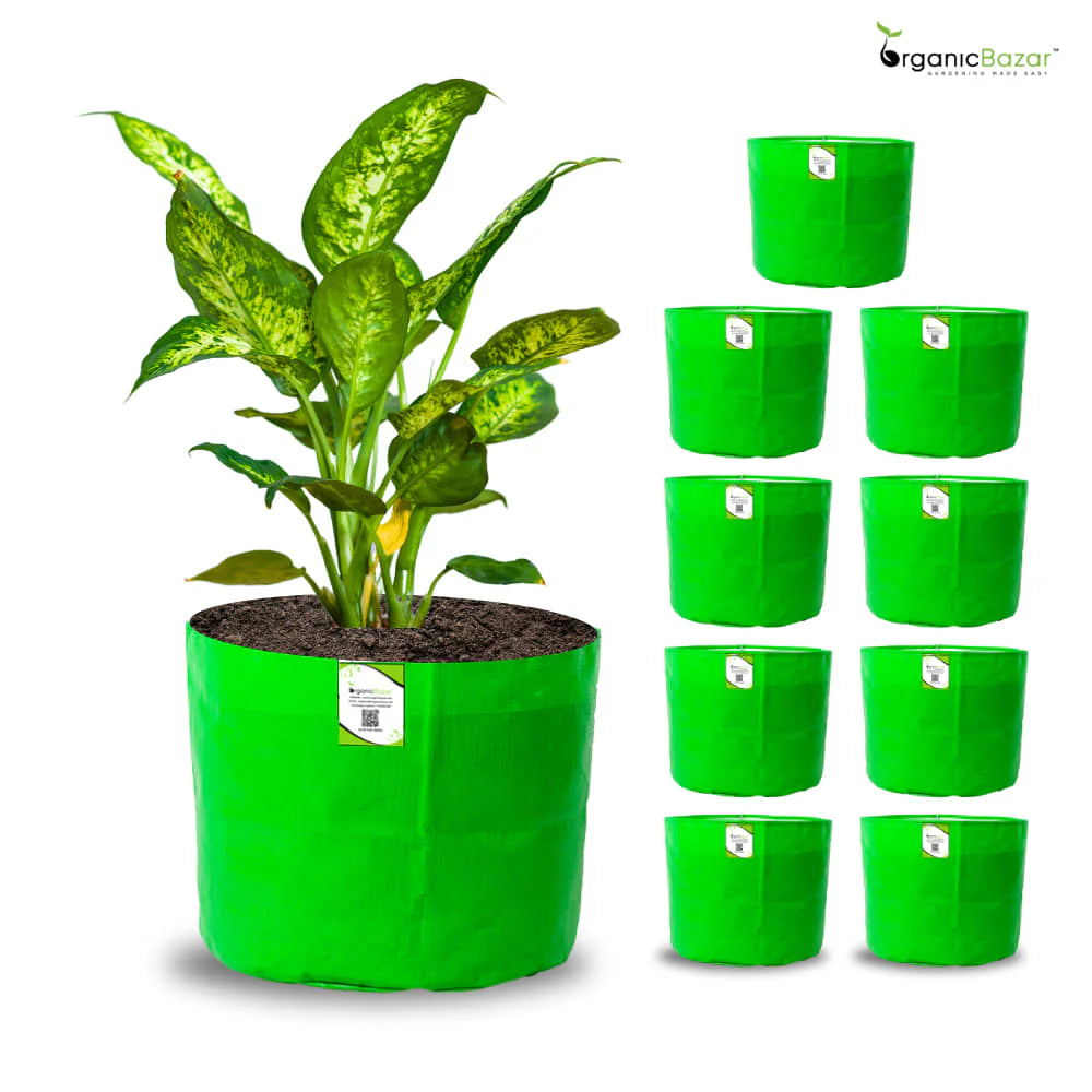 Carvix 5x5 Small Size Grow Bag