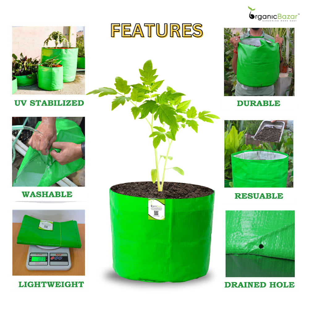Carvix 5x5 Small Size Grow Bag