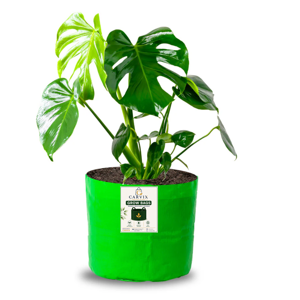 Carvix 6x6 Small Size Grow Bag for Home Gardening, Premium HDPE 260 GSM, Green Plant Bags