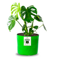 Carvix 6x6 Small Size Grow Bag for Home Gardening, Premium HDPE 260 GSM, Green Plant Bags