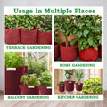 Carvix Premium 18X12 Geo Fabric Grow Bags For Home Garden