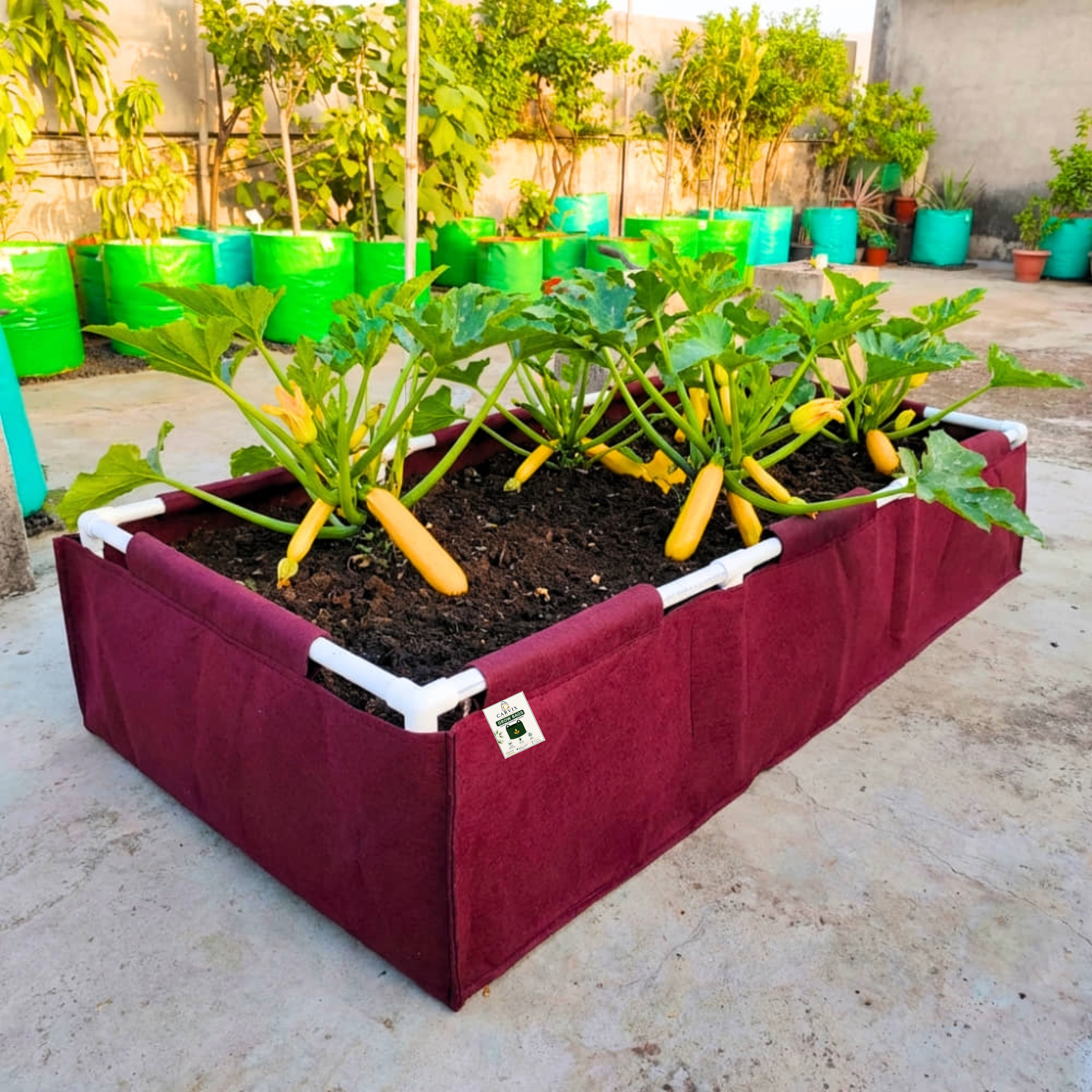 Carvix 72x36x12 Geo Fabric Rectangular Grow Bag With Supporting PVC Pipes, 450 GSM Raised Bed for Terrace Garden