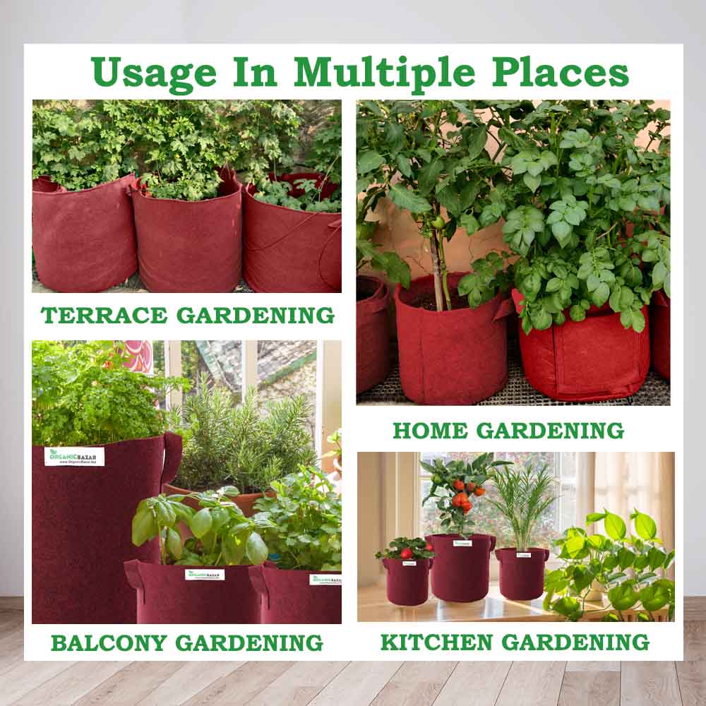 Carvix Geo Fabric 10x10 Grow Bag For Tulsi Plant (Tulsi Grow Bag)