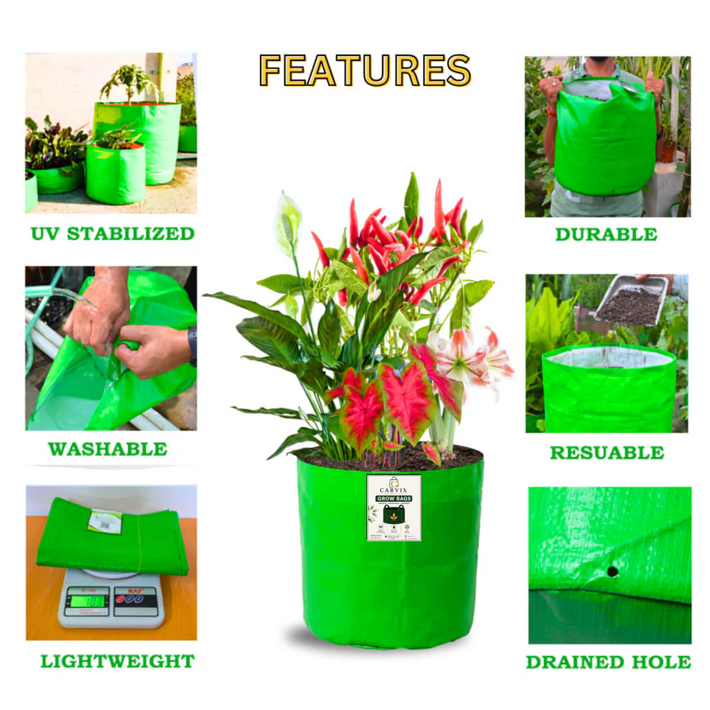 Carvix 8x8 Grow Bags for Terrace Garden, Premium HDPE 260 GSM, Green Plant Bags