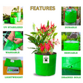 Carvix 8x8 Grow Bags for Terrace Garden, Premium HDPE 260 GSM, Green Plant Bags