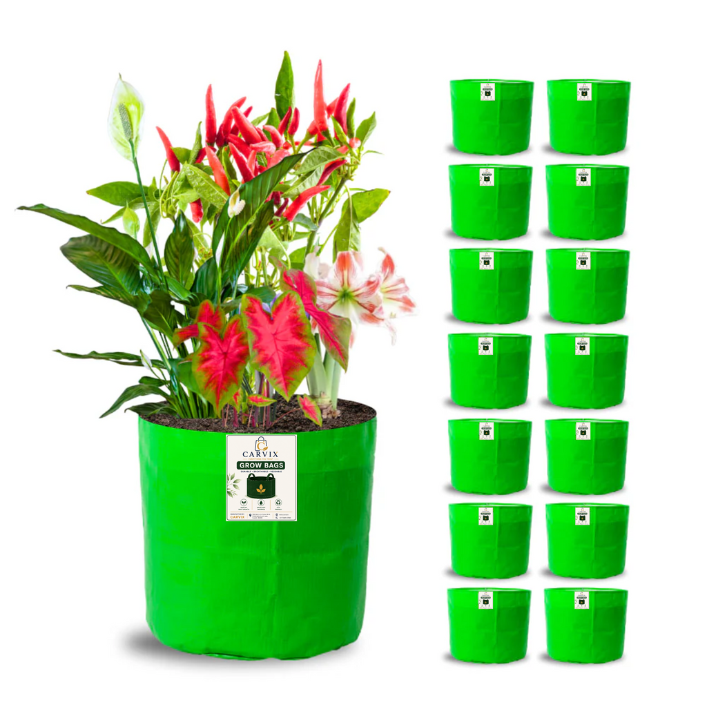 Carvix 8x8 Grow Bags for Terrace Garden, Premium HDPE 260 GSM, Green Plant Bags
