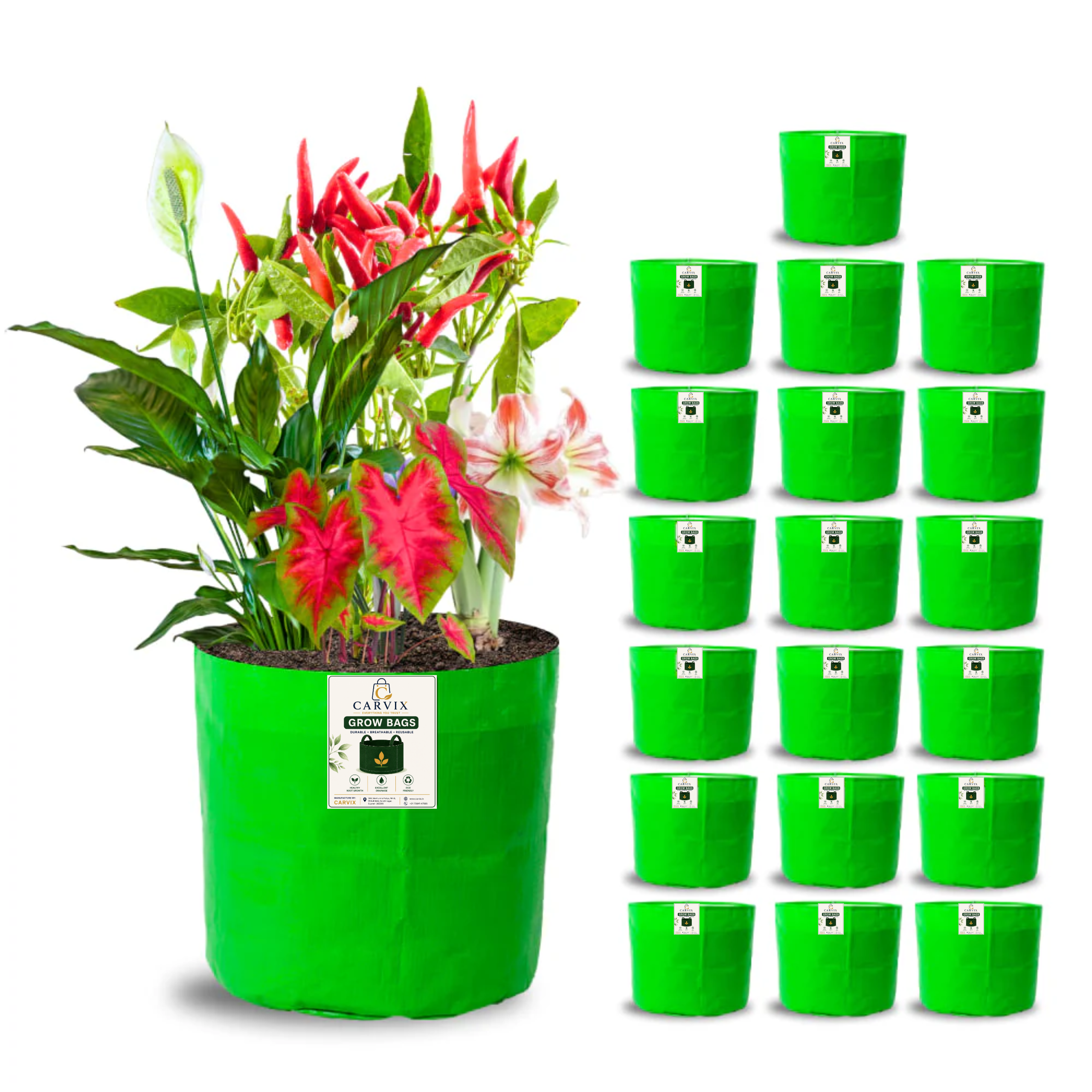 Carvix 8x8 Grow Bags for Terrace Garden, Premium HDPE 260 GSM, Green Plant Bags