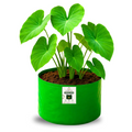 Carvix 9x6 Small Grow Bag for Terrace Garden, Premium HDPE 260 GSM, Green Plant Bags