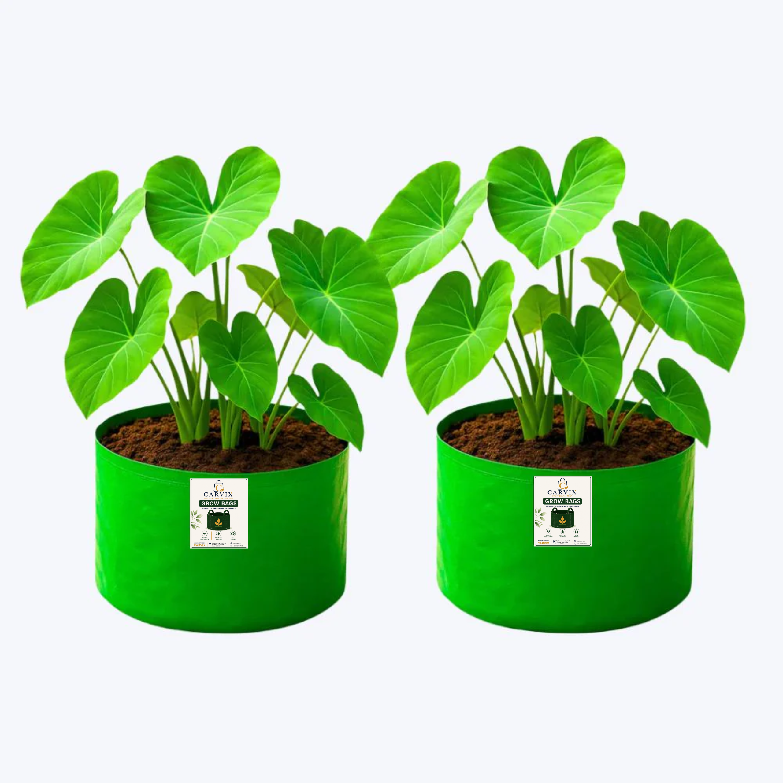 Carvix 9x6 Small Grow Bag for Terrace Garden, Premium HDPE 260 GSM, Green Plant Bags