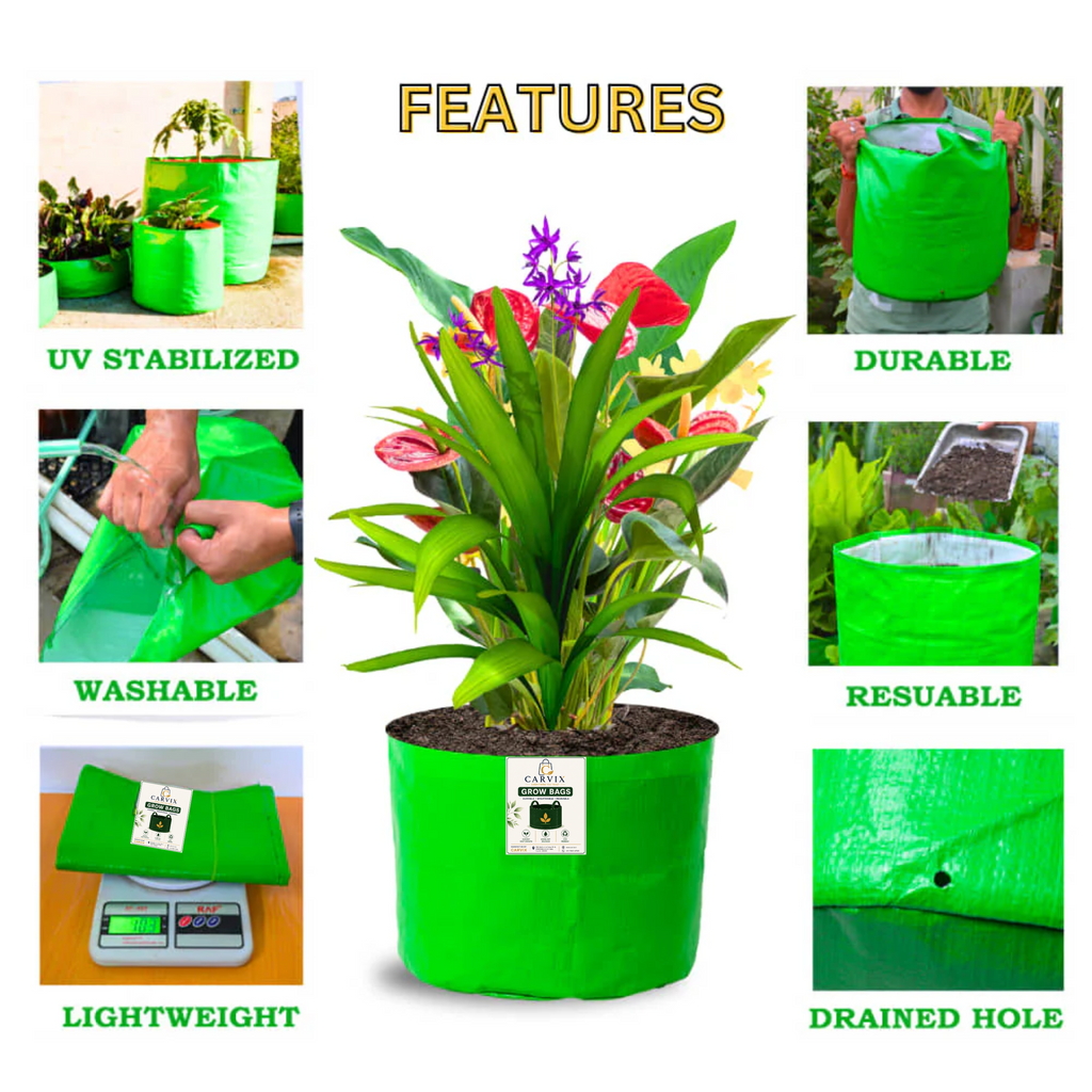 Carvix 9x6 Small Grow Bag for Terrace Garden, Premium HDPE 260 GSM, Green Plant Bags