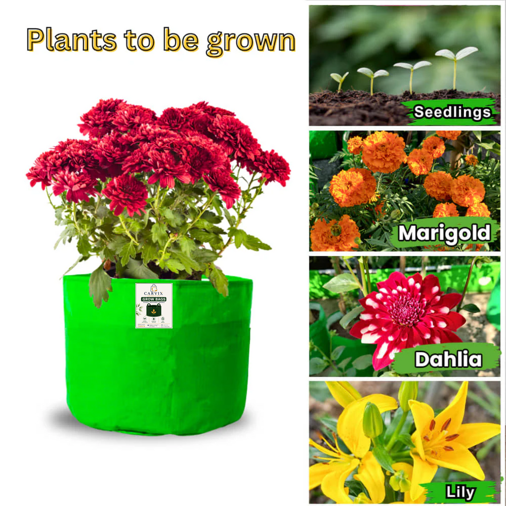 Carvix 9x6 Small Grow Bag for Terrace Garden, Premium HDPE 260 GSM, Green Plant Bags
