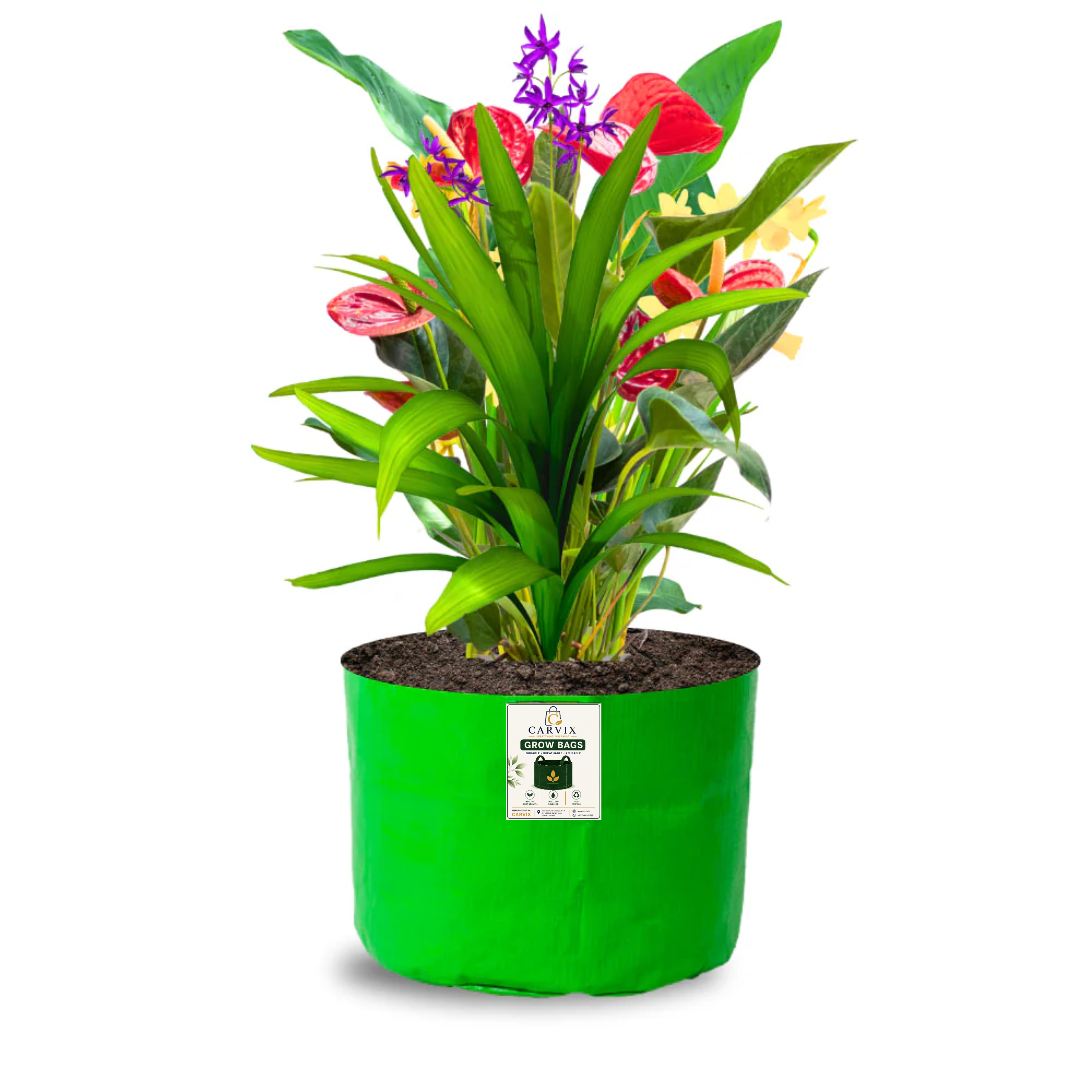 Carvix 9x6 Small Grow Bag for Terrace Garden, Premium HDPE 260 GSM, Green Plant Bags