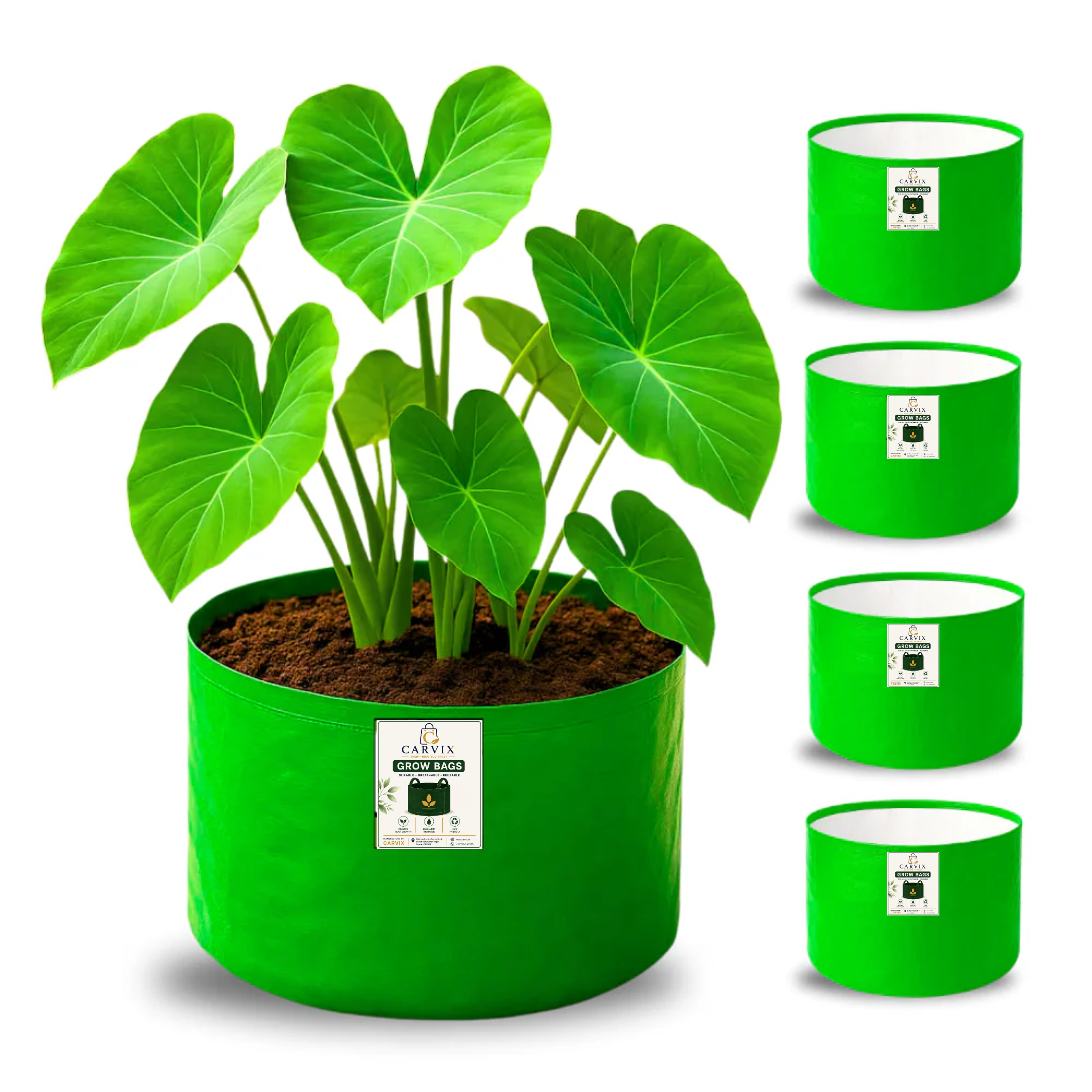Carvix 9x6 Small Grow Bag for Terrace Garden, Premium HDPE 260 GSM, Green Plant Bags
