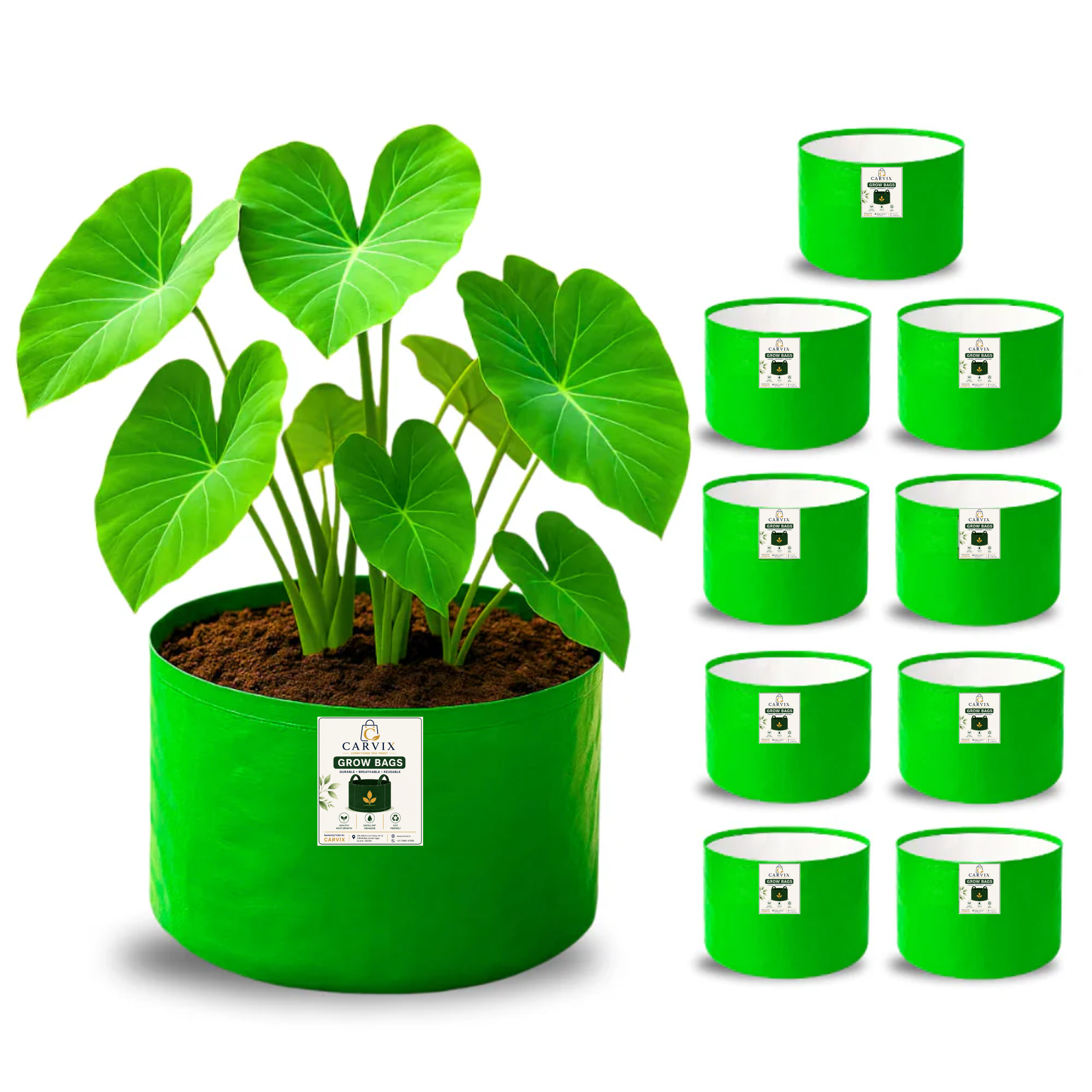 Carvix 9x6 Small Grow Bag for Terrace Garden, Premium HDPE 260 GSM, Green Plant Bags