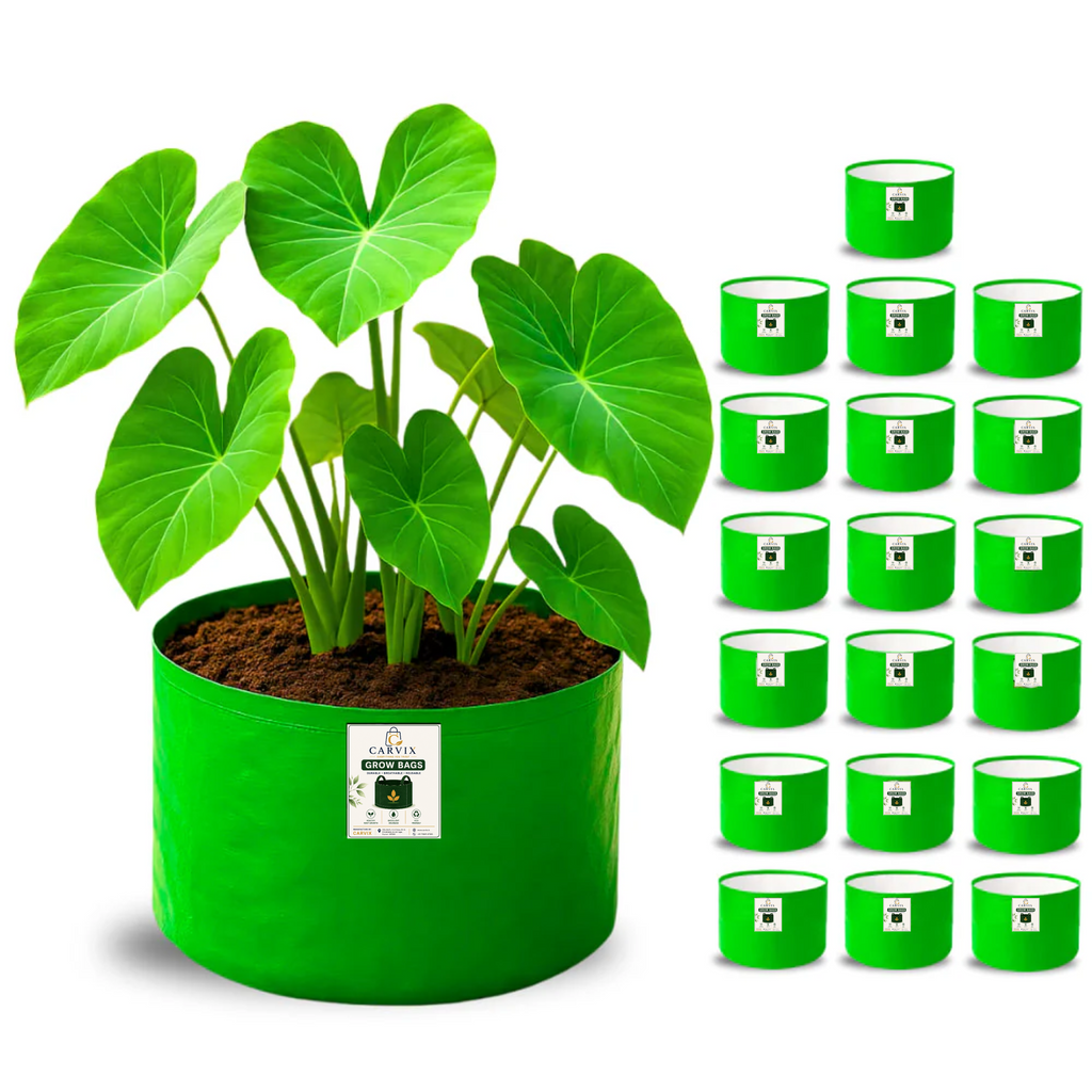 Carvix 9x6 Small Grow Bag for Terrace Garden, Premium HDPE 260 GSM, Green Plant Bags
