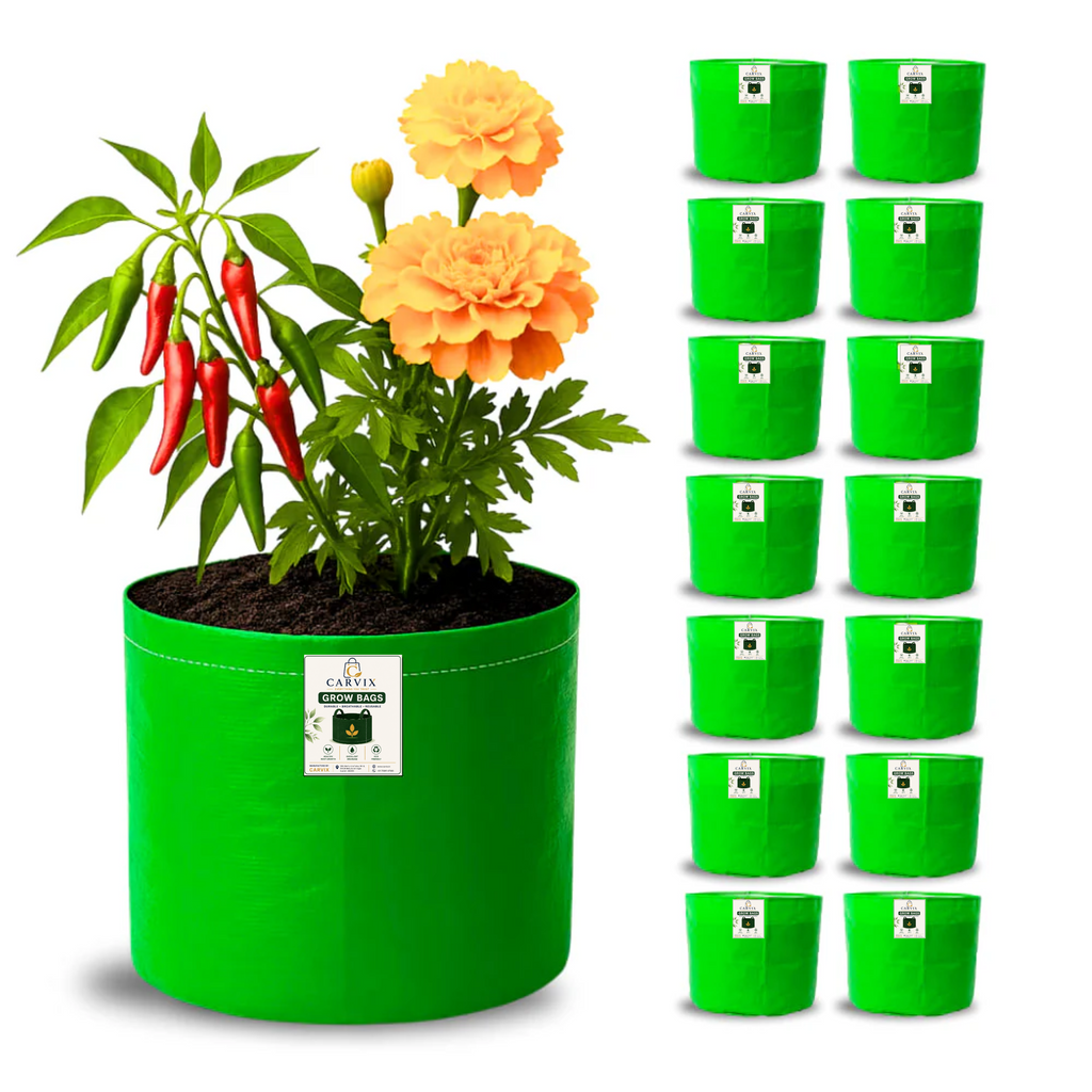 Carvix 9x9 Small Grow Bag for Terrace Garden, Premium HDPE 260 GSM, Green Plant Bags
