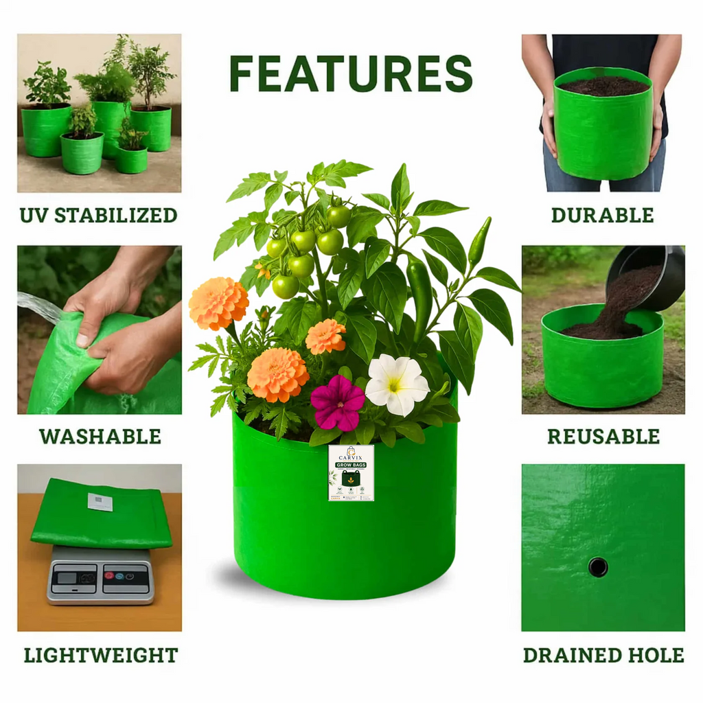 Carvix 9x9 Small Grow Bag for Terrace Garden, Premium HDPE 260 GSM, Green Plant Bags