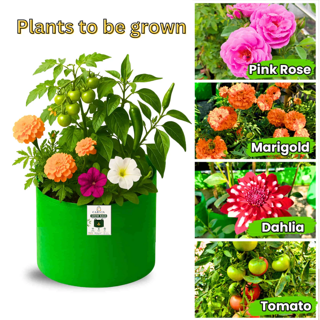 Carvix 9x9 Small Grow Bag for Terrace Garden, Premium HDPE 260 GSM, Green Plant Bags