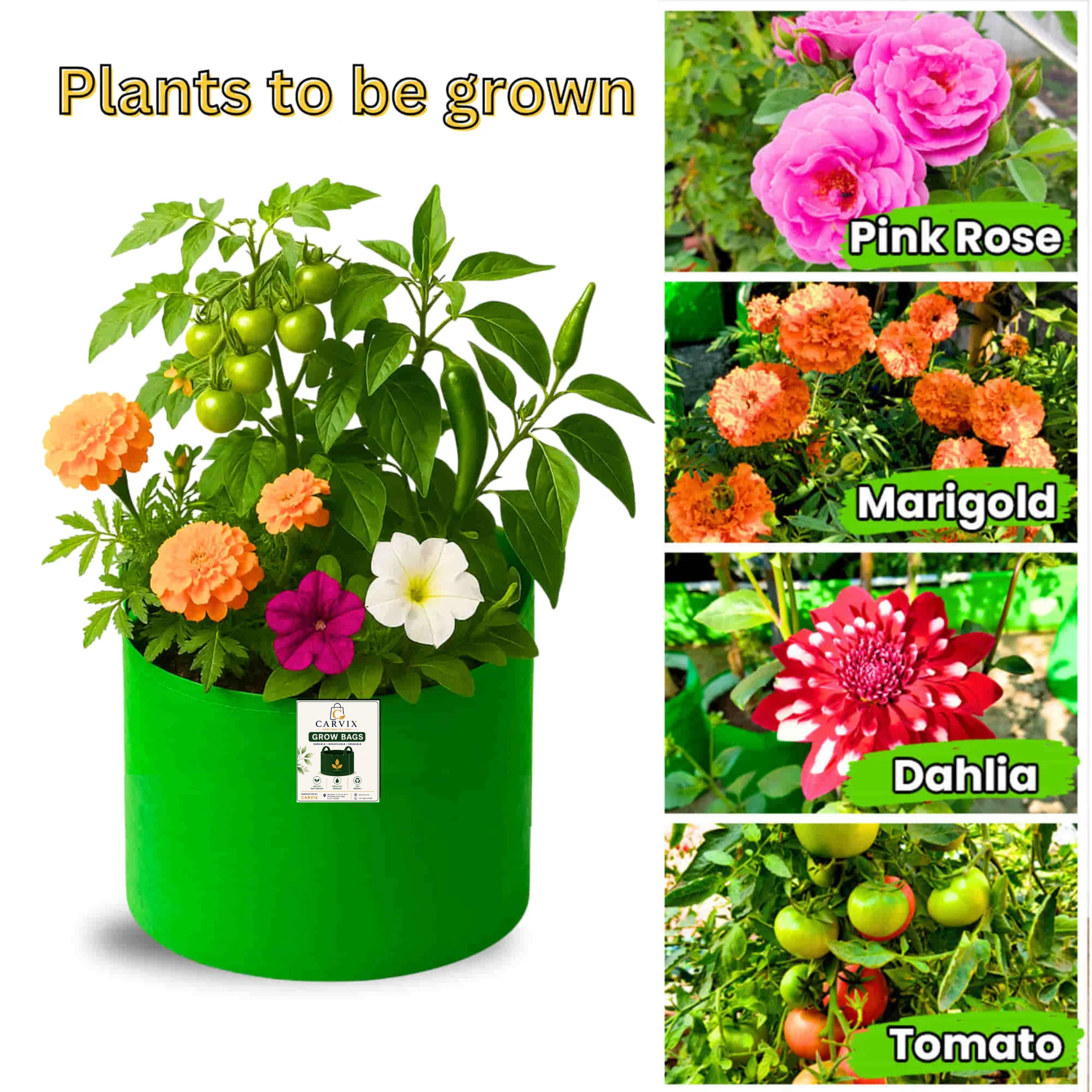 Carvix 9x9 Small Grow Bag for Terrace Garden, Premium HDPE 260 GSM, Green Plant Bags