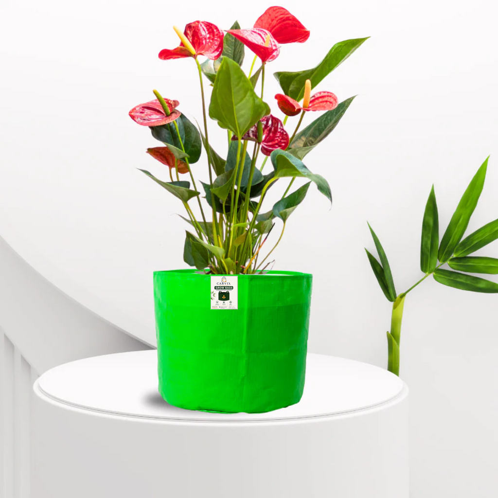 Carvix 9x9 Small Grow Bag for Terrace Garden, Premium HDPE 260 GSM, Green Plant Bags
