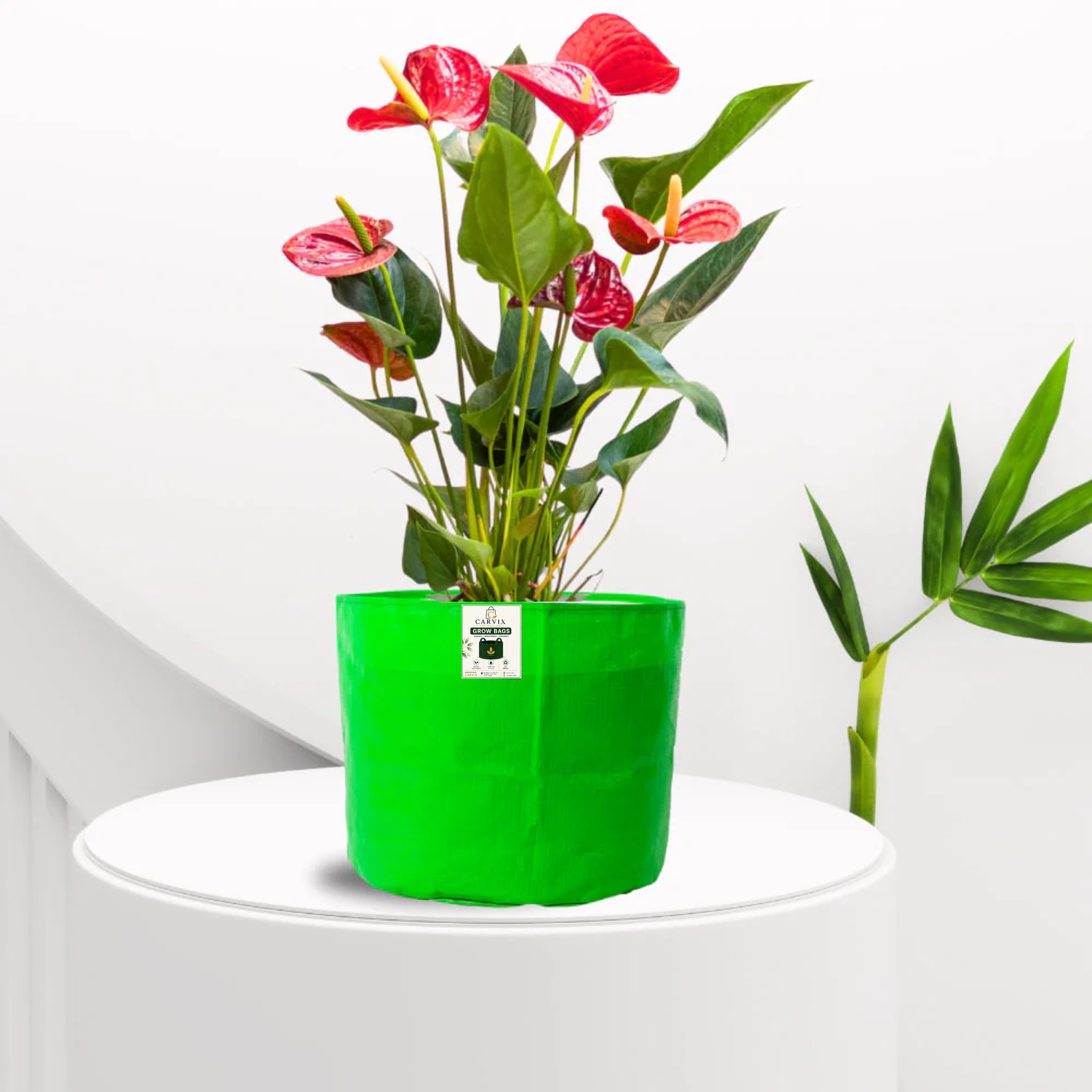 Carvix 9x9 Small Grow Bag for Terrace Garden, Premium HDPE 260 GSM, Green Plant Bags