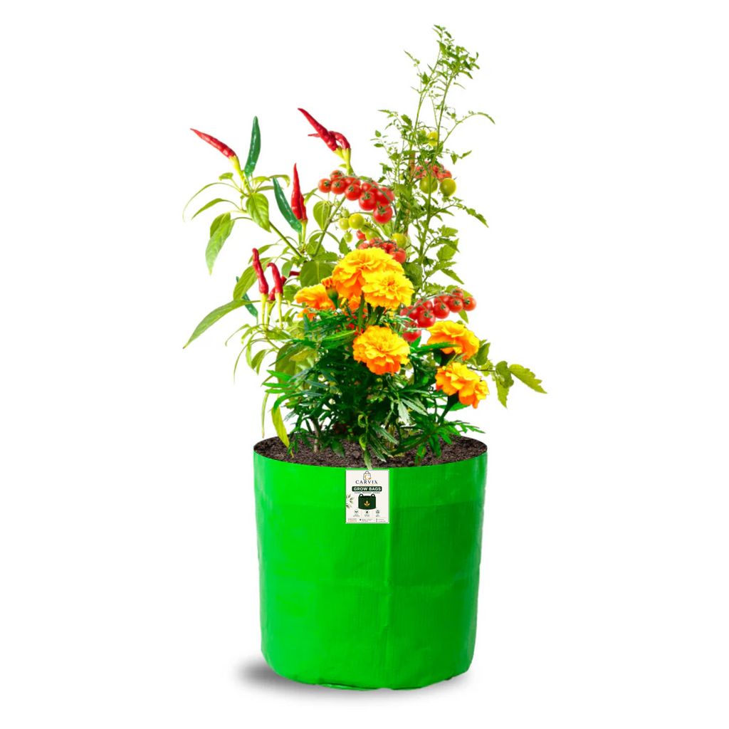 Carvix 9x9 Small Grow Bag for Terrace Garden, Premium HDPE 260 GSM, Green Plant Bags