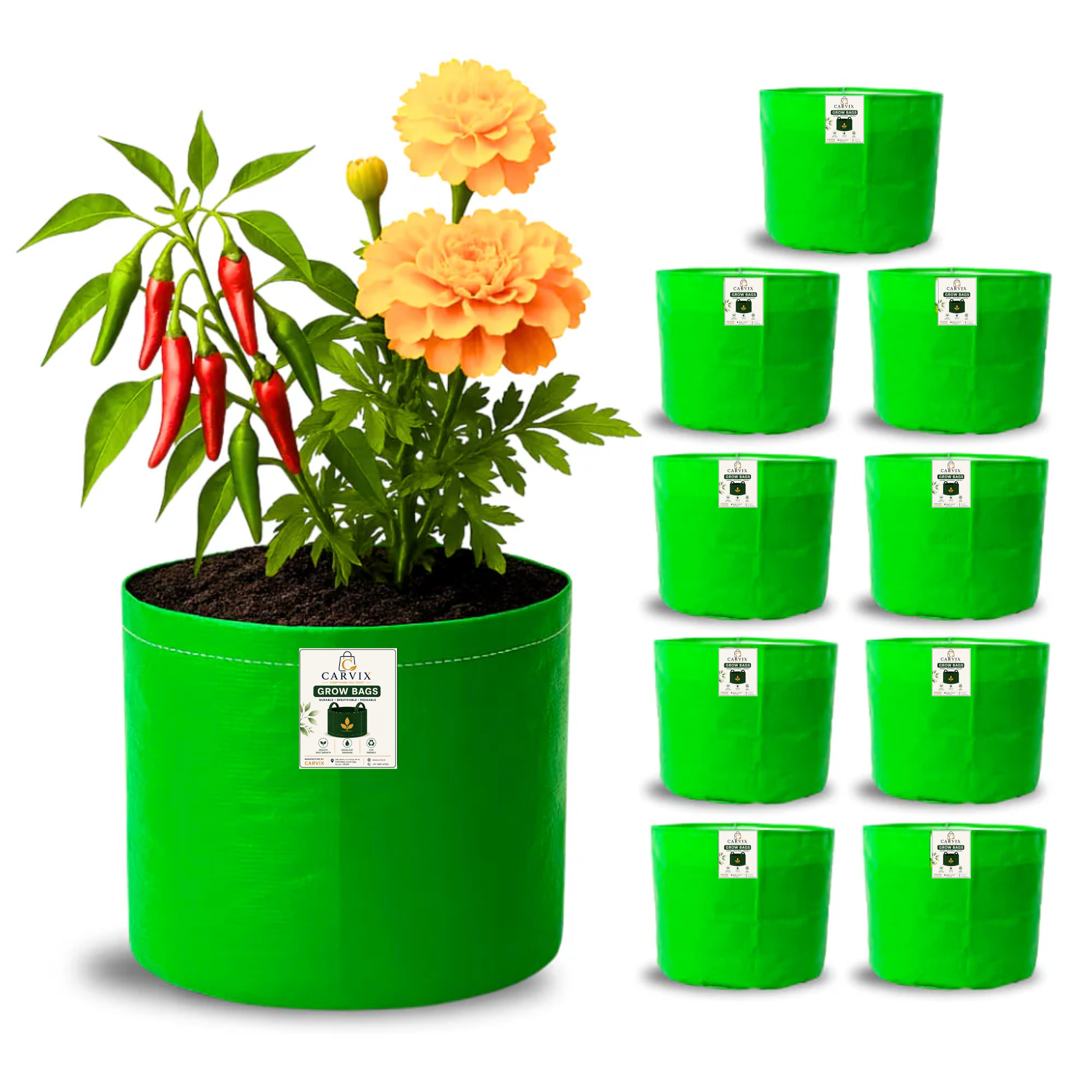 Carvix 9x9 Small Grow Bag for Terrace Garden, Premium HDPE 260 GSM, Green Plant Bags