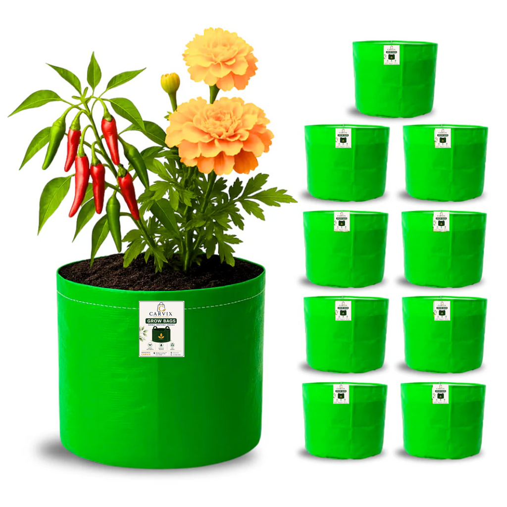 Carvix 9x9 Small Grow Bag for Terrace Garden, Premium HDPE 260 GSM, Green Plant Bags