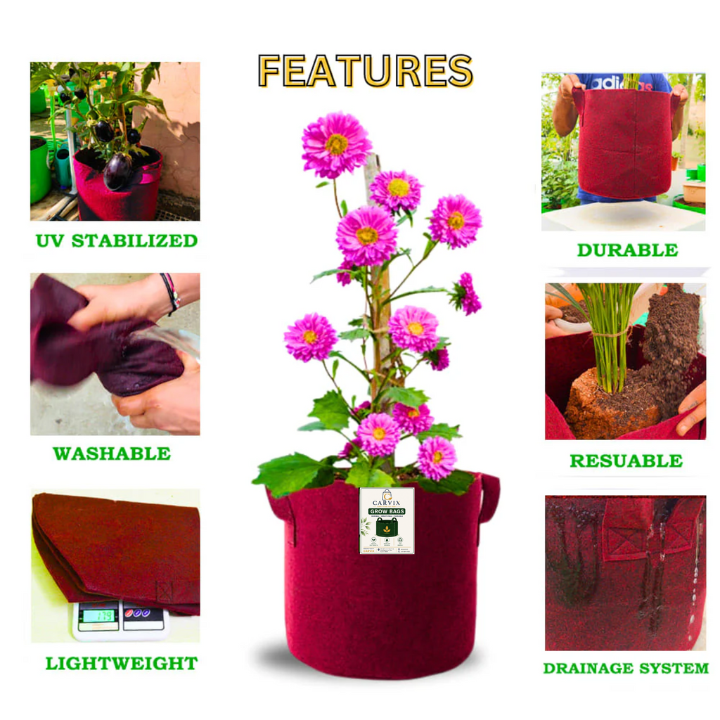 Carvix 9x9 Geo Grow Bags Suitable for Vegetable and Flower Plants, Premium Quality 450 GSM Maroon Planters for Terrace Garden