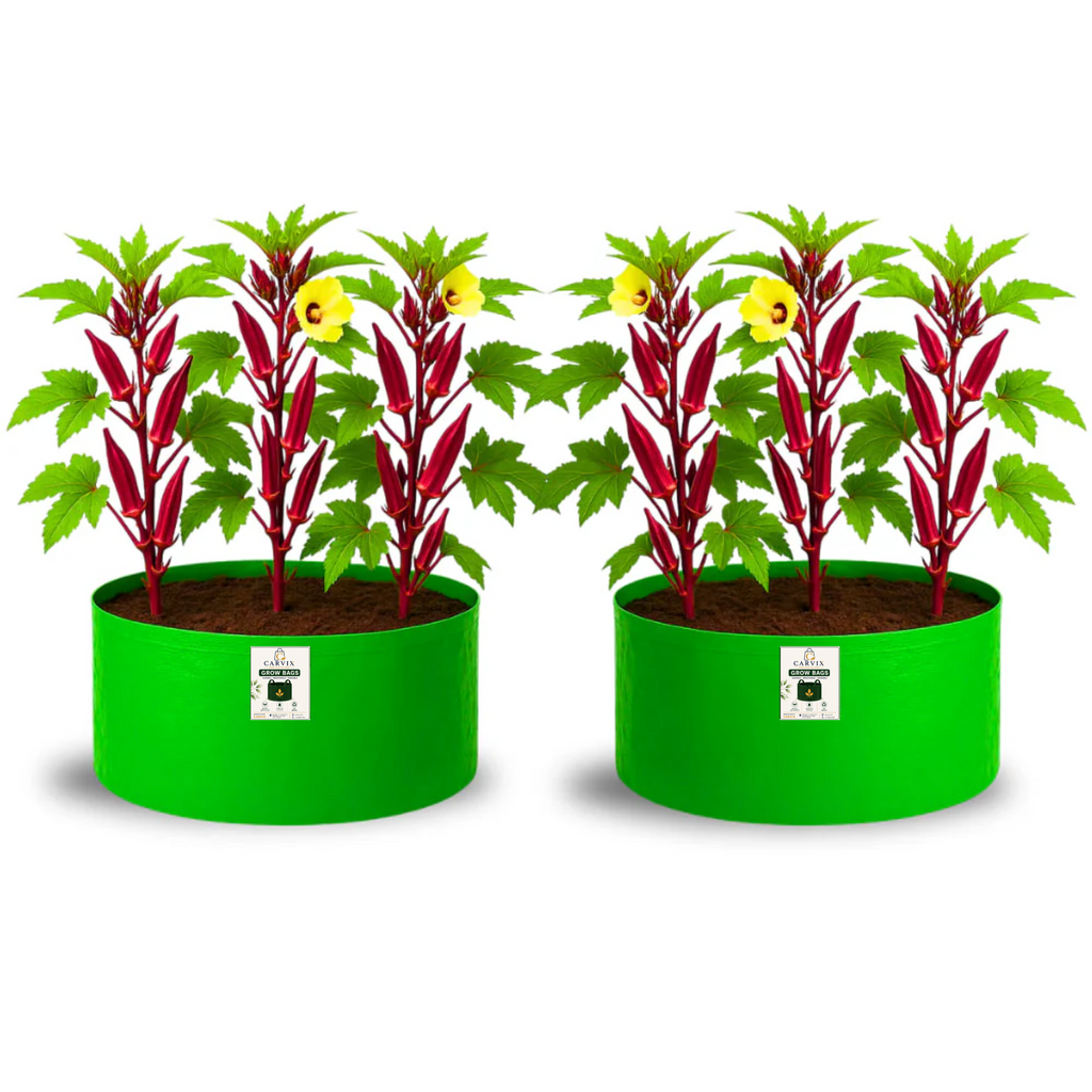 Carvix 18x12 Grow Bag for Vegetable Gardening, Premium HDPE 260 GSM, Green Plant Bags for Home Garden