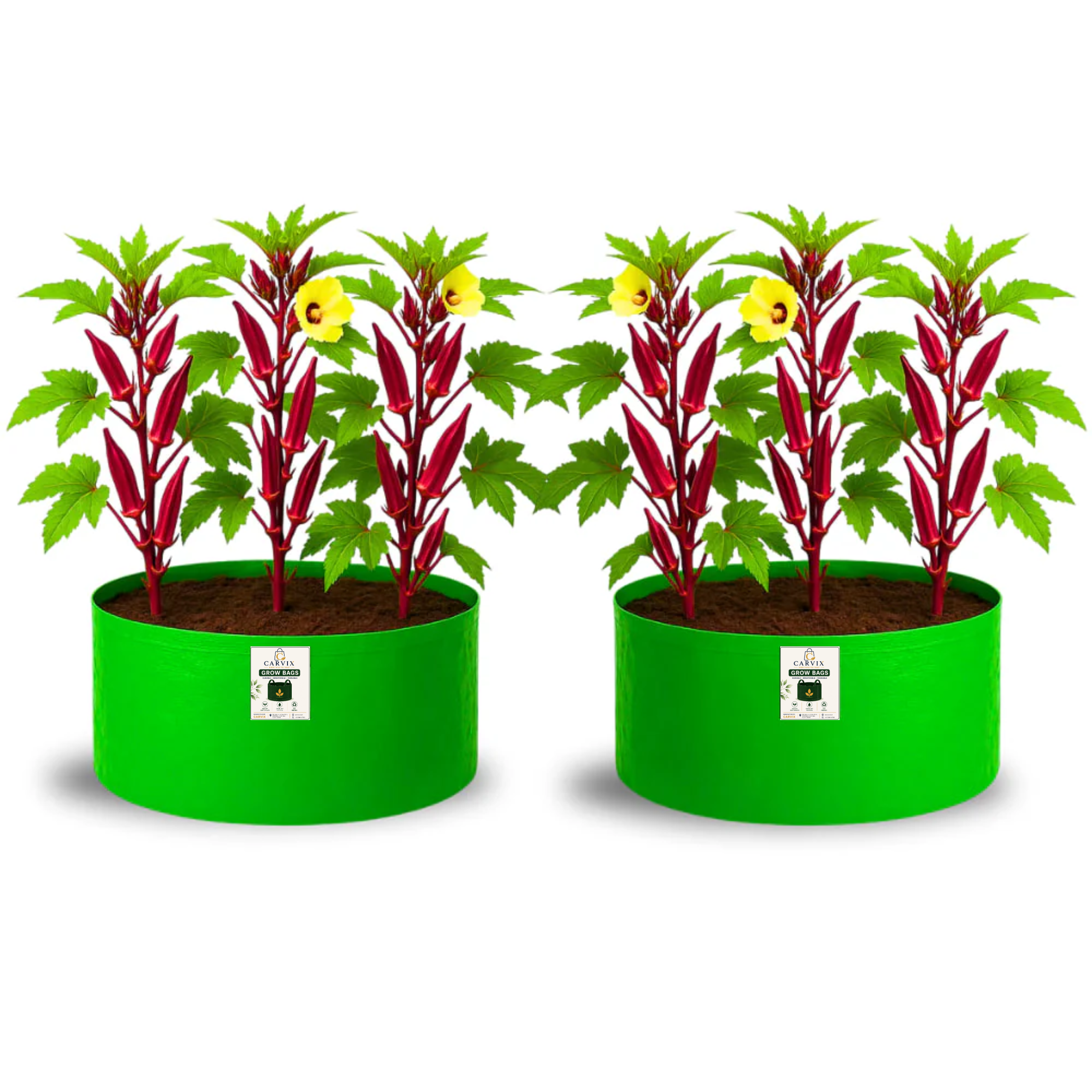 Carvix 18x12 Grow Bag for Vegetable Gardening, Premium HDPE 260 GSM, Green Plant Bags for Home Garden