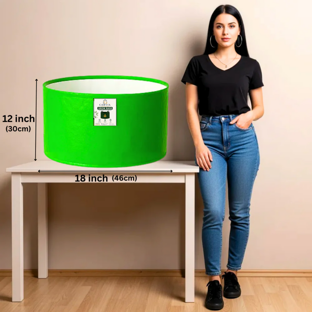 Carvix 18x12 Grow Bag for Vegetable Gardening, Premium HDPE 260 GSM, Green Plant Bags for Home Garden