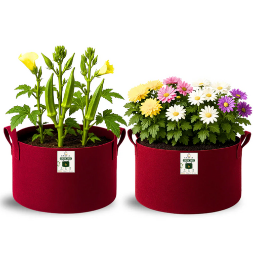 Carvix 15X12 Geo Fabric Grow Bags for Terrace Garden
