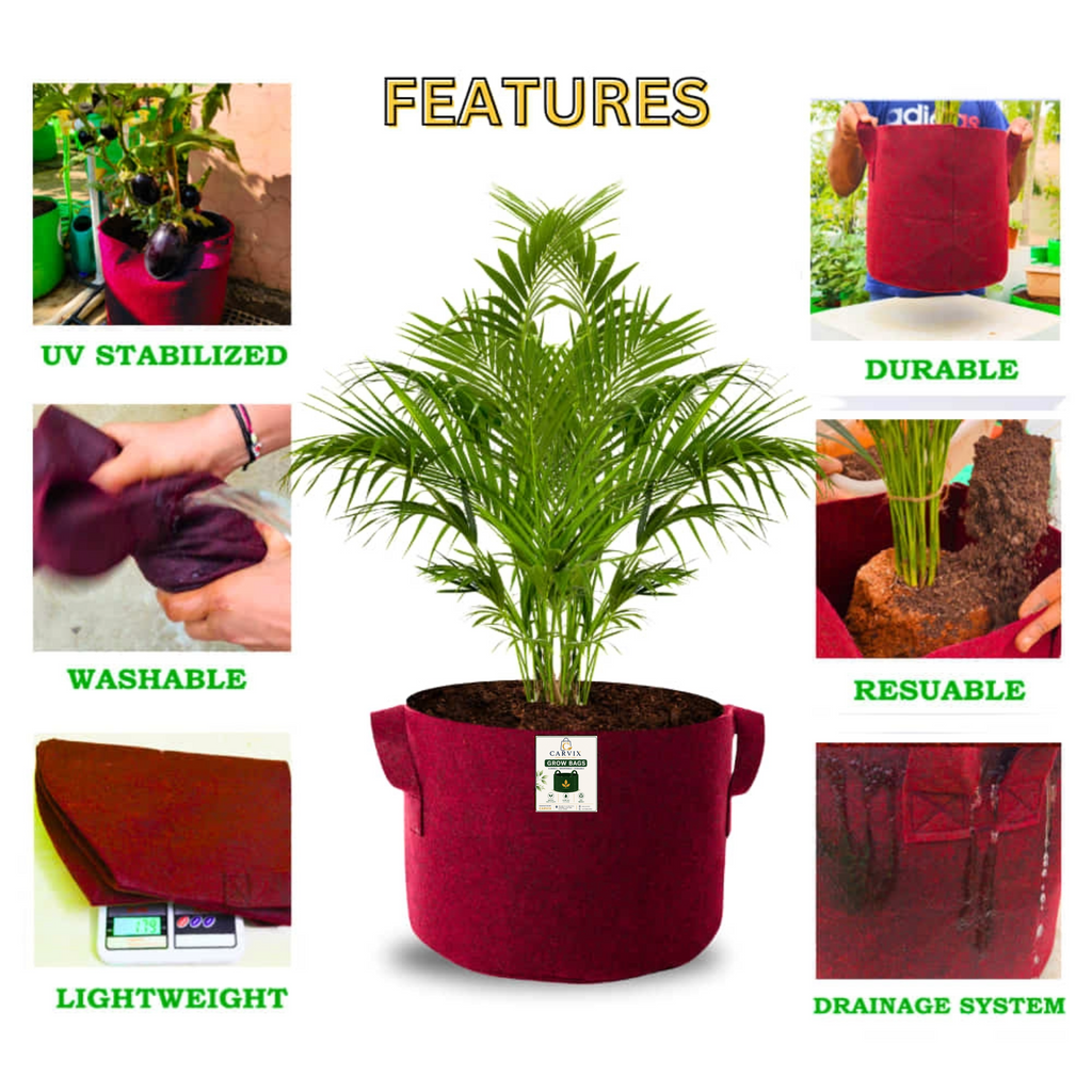 Carvix 15X12 Geo Fabric Grow Bags for Terrace Garden