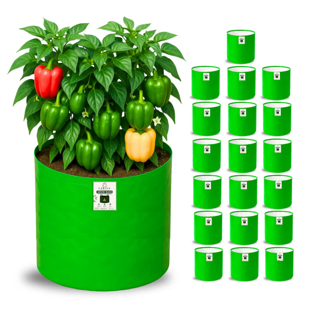 Carvix 15x15 Grow Bag for Vegetable Gardening, Premium HDPE 260 GSM, Green Plant Bags for Terrace Garden