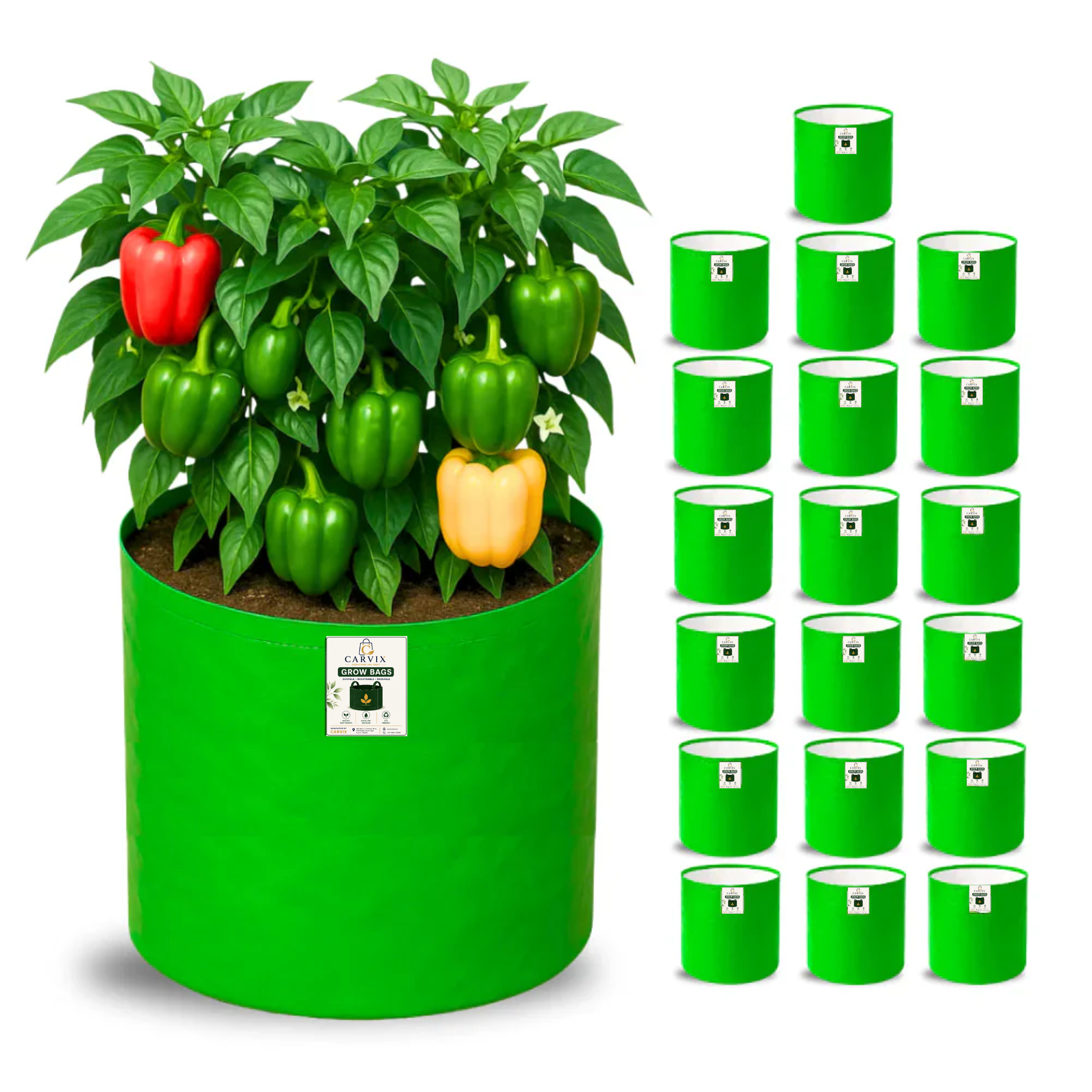 Carvix 15x15 Grow Bag for Vegetable Gardening, Premium HDPE 260 GSM, Green Plant Bags for Terrace Garden