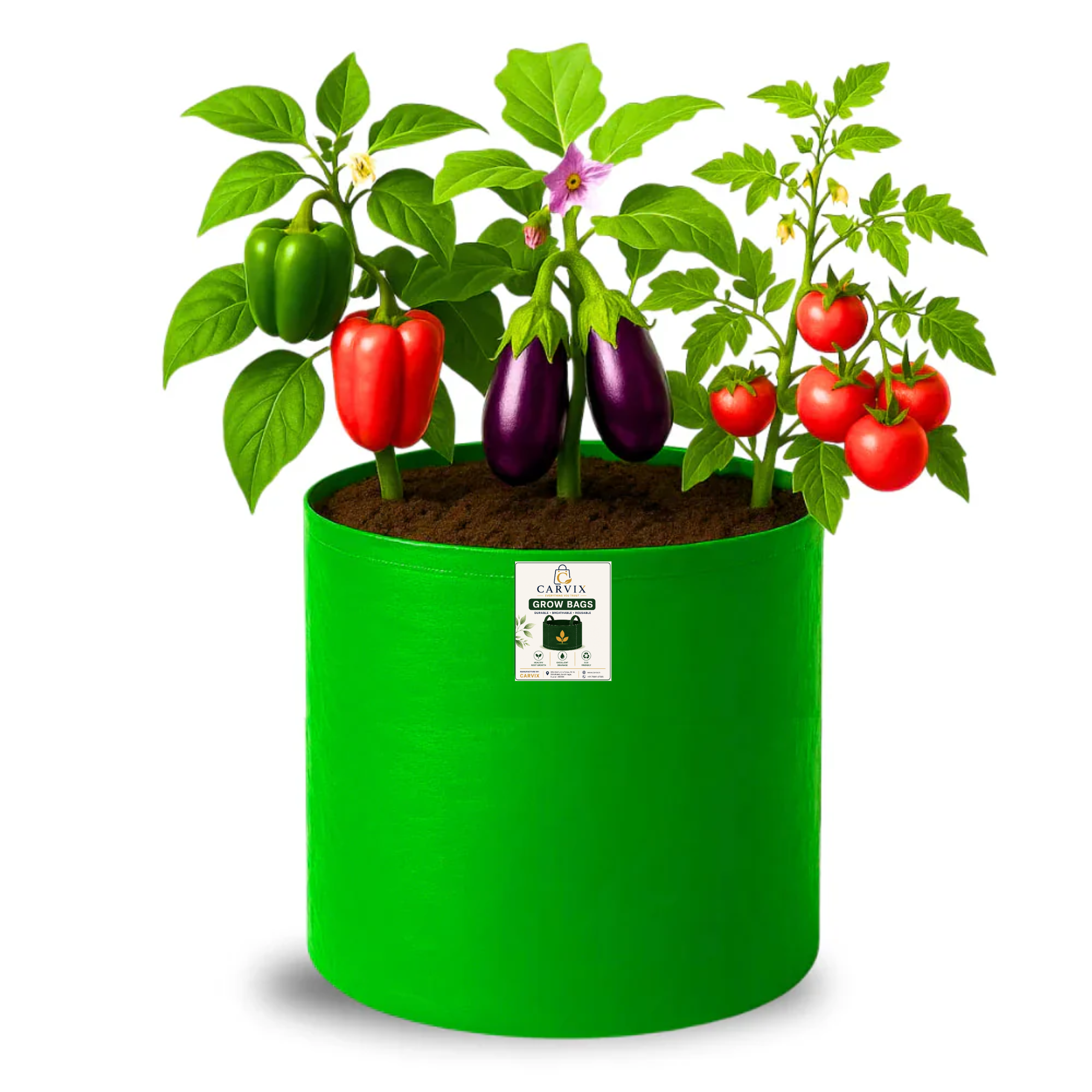 Carvix 15x15 Grow Bag for Vegetable Gardening, Premium HDPE 260 GSM, Green Plant Bags for Terrace Garden