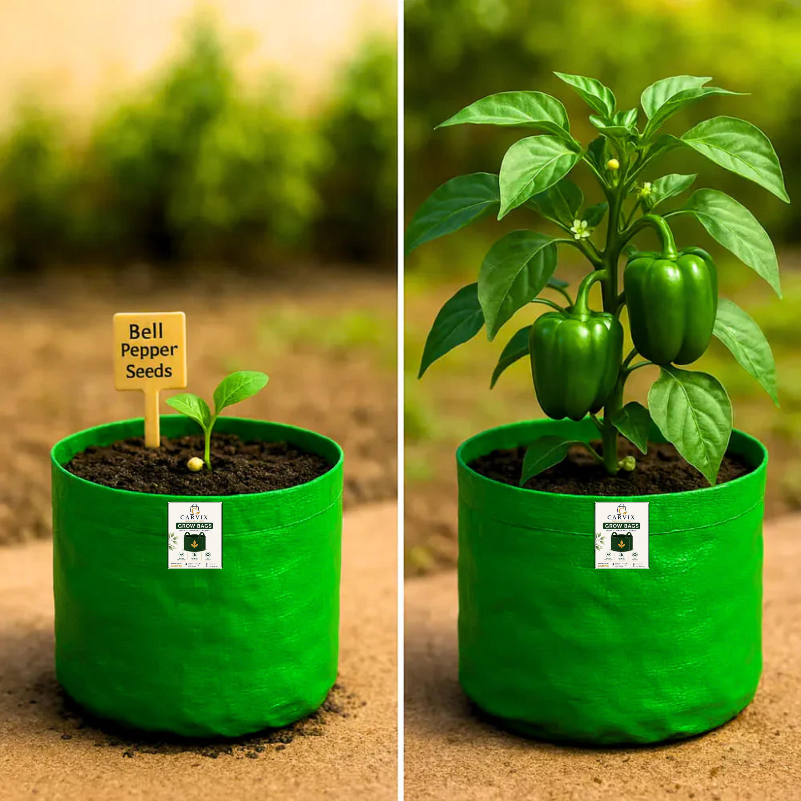Carvix 15x15 Grow Bag for Vegetable Gardening, Premium HDPE 260 GSM, Green Plant Bags for Terrace Garden