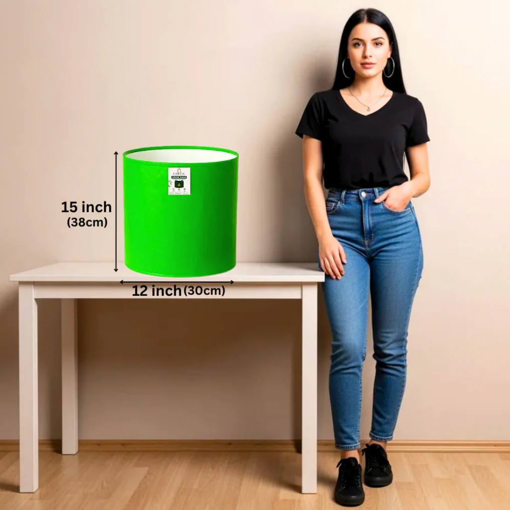 Carvix 15x9 Grow Bag for Terrace Garden, Premium HDPE 260 GSM, Green Plant Bags