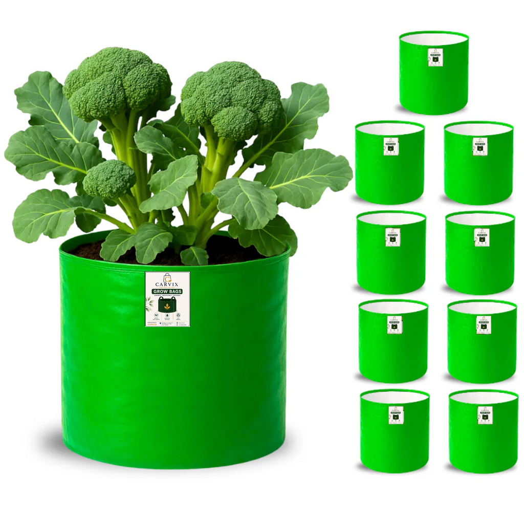 Carvix 15x9 Grow Bag for Terrace Garden, Premium HDPE 260 GSM, Green Plant Bags
