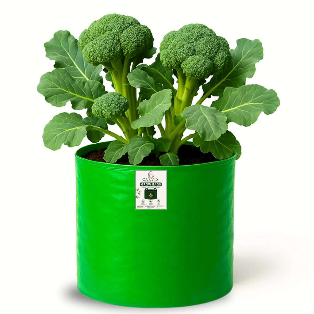 Carvix 15x9 Grow Bag for Terrace Garden, Premium HDPE 260 GSM, Green Plant Bags